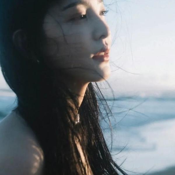 最后的清晰时刻封面